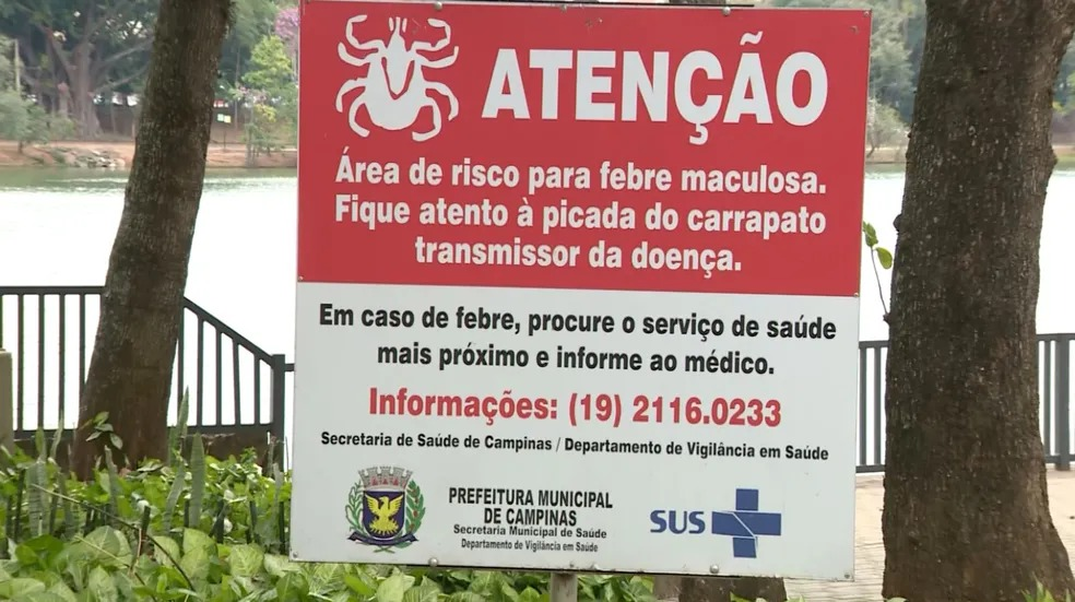 Febre Maculosa em Barão Geraldo