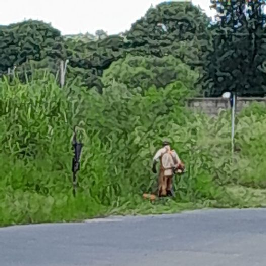 Falta de calçada, mato alto nas laterais e imprudência causaram acidente no Village, dizem moradores