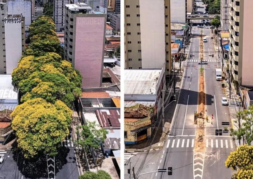 Ambientalistas  consideram mudanças  na Secretaria do Verde (SECLIMAS) como inócuas